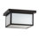 Hyde Park Prime 2 - Light Outdoor Flush Mount