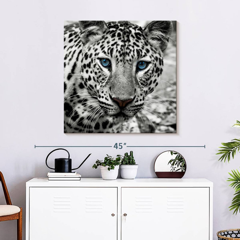 Brampt Zoo Leopard
