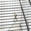Cage à oiseau 45 po