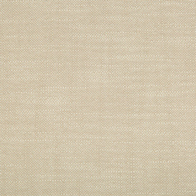 Performance Crypton Home Fabric