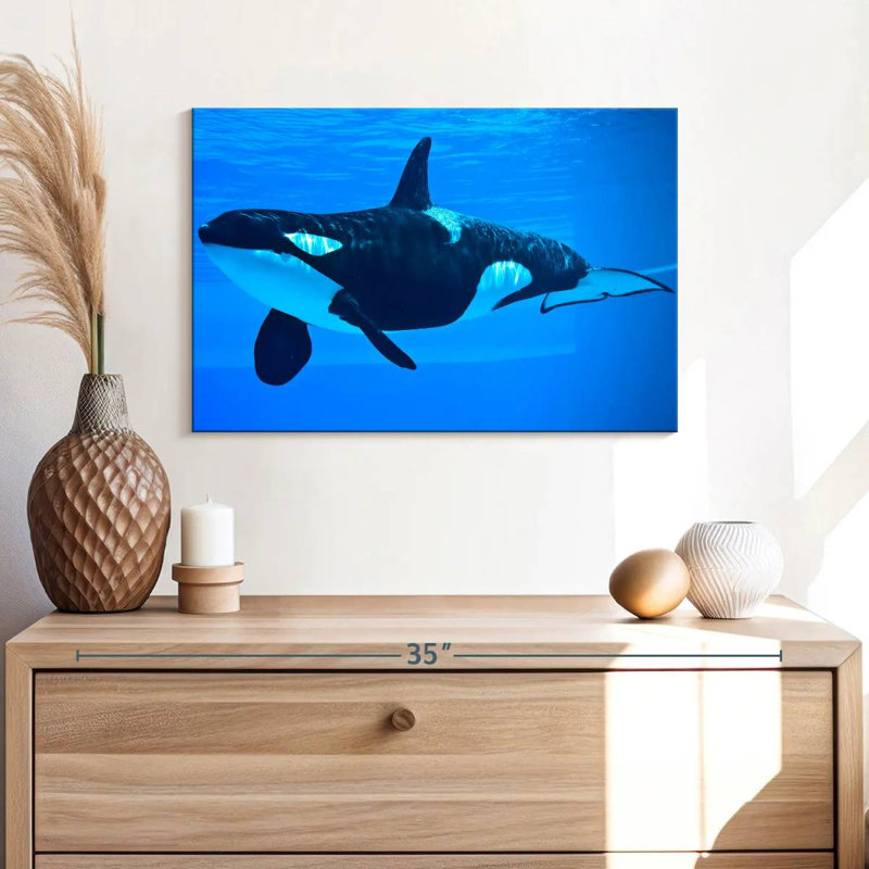 Brampt Friendly Killer Whale, 16" H x 24" W
