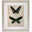Bejeweled Butterfly II Print