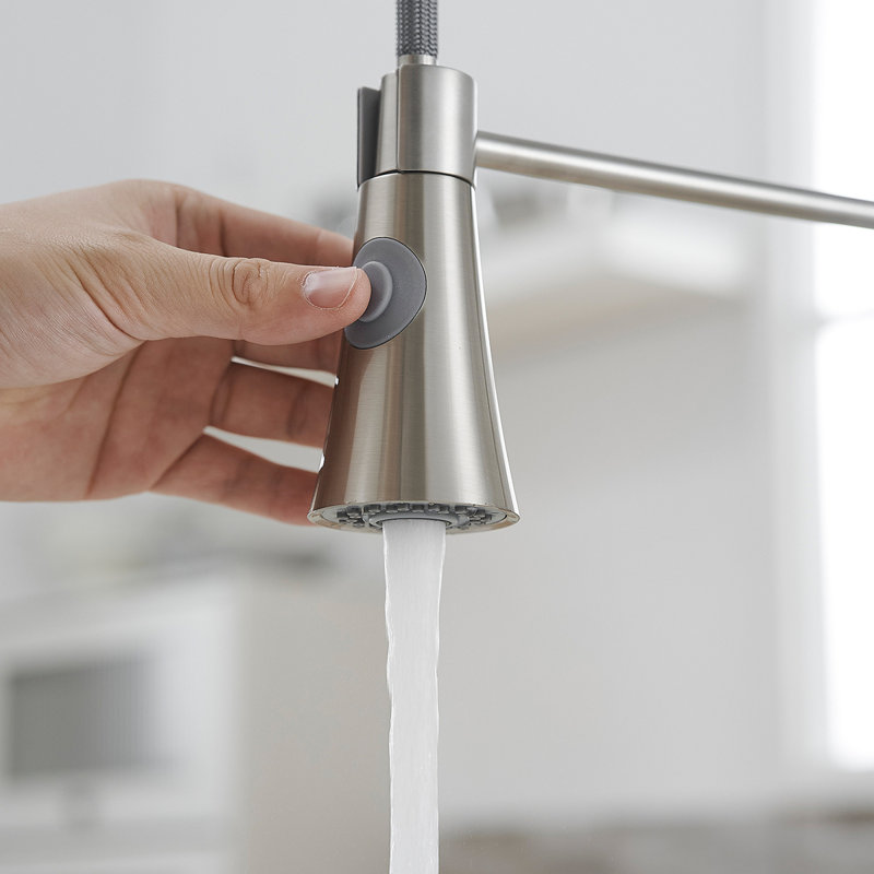 Robinet de cuisine commercial avec douchette extractible, robinet d'évier de cuisine à poignée simple, Nickel brossé