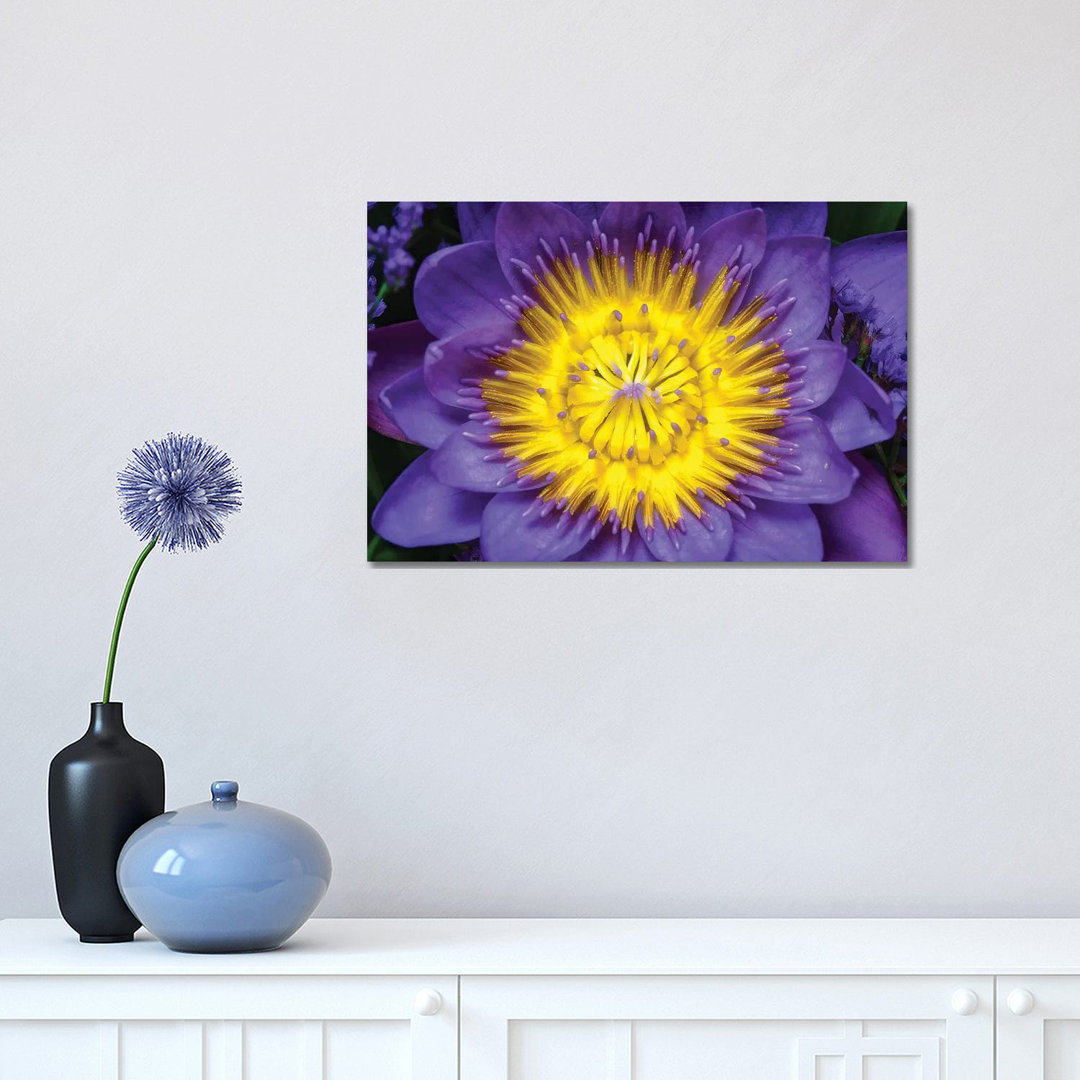 Lotus by Glauco Meneghelli - Wrapped Canvas Print