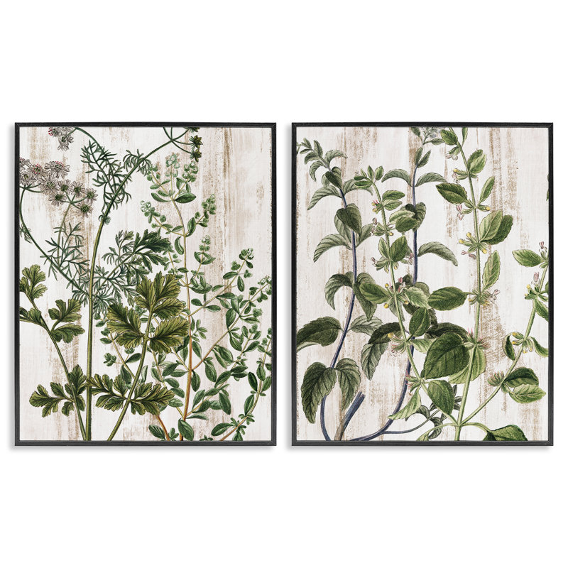 «Aged Botanical Leaves», ensemble de 2 giclées encadrées par Kim Allen, H 14 po x l 11 po, Giclée encadrée noir minuit