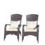 Patio Chair With Cushions( Grey Cushion)-1125353241