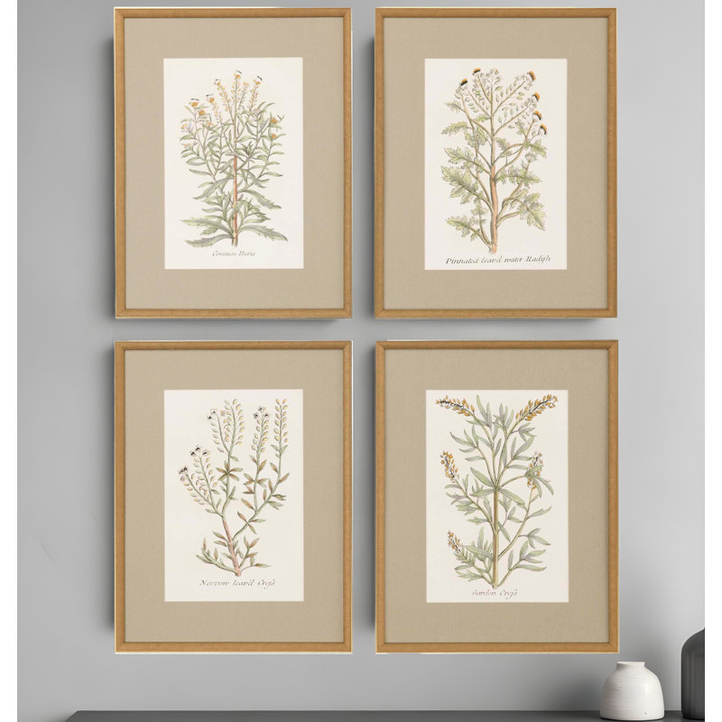 Ensemble de quatre plantes botaniques, impression encadrée dorée