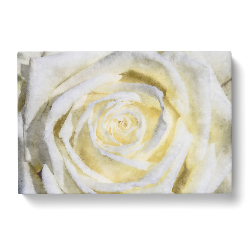 Crisp White Rose Painting - Wrapped Canvas Graphic Art, 40cm H x 60cm W x 3cm D
