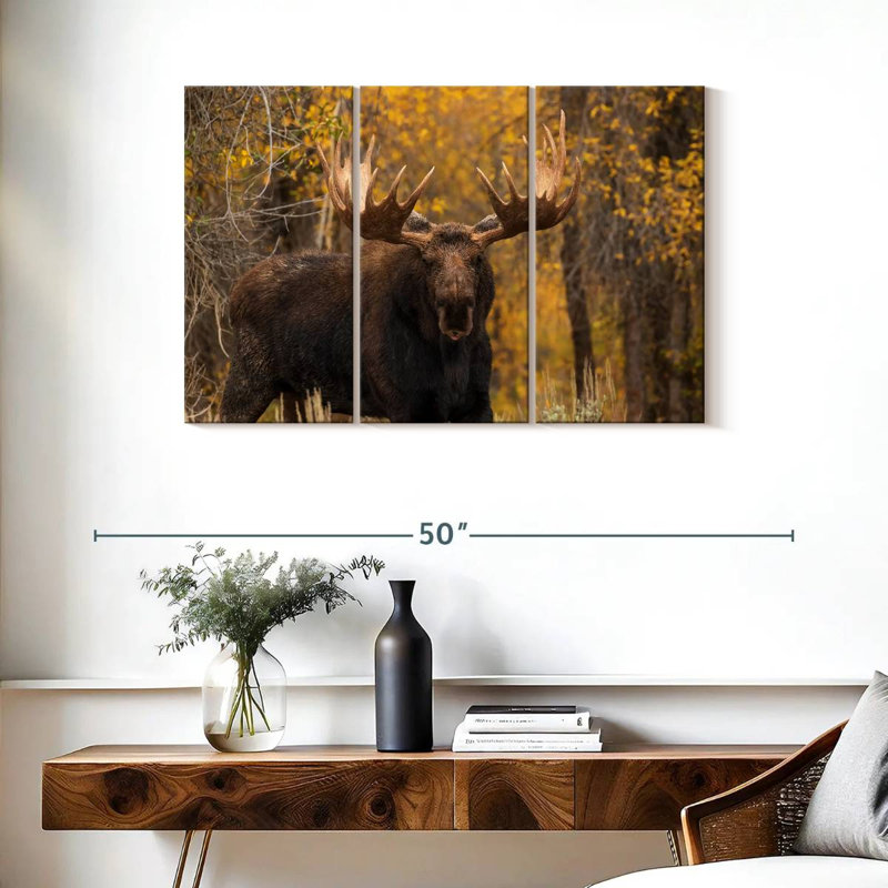 Shiras Bull Moose, 24" H x 38" W