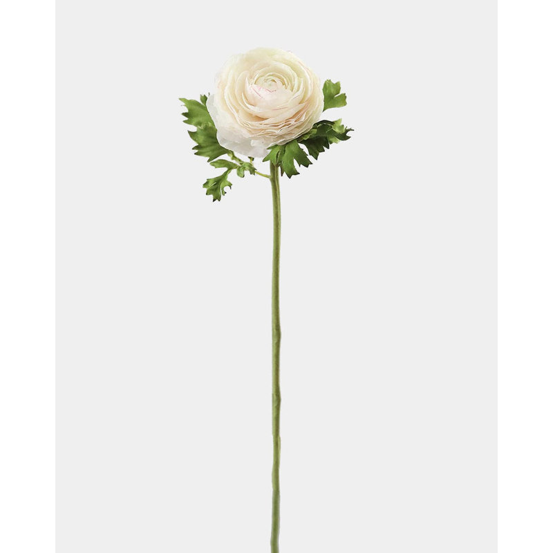 Renoncule de soie crème 53 cm