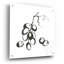 «Grapes I BW» par Chris Paschke-1783545374
