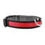 Collier pour chien-98497196