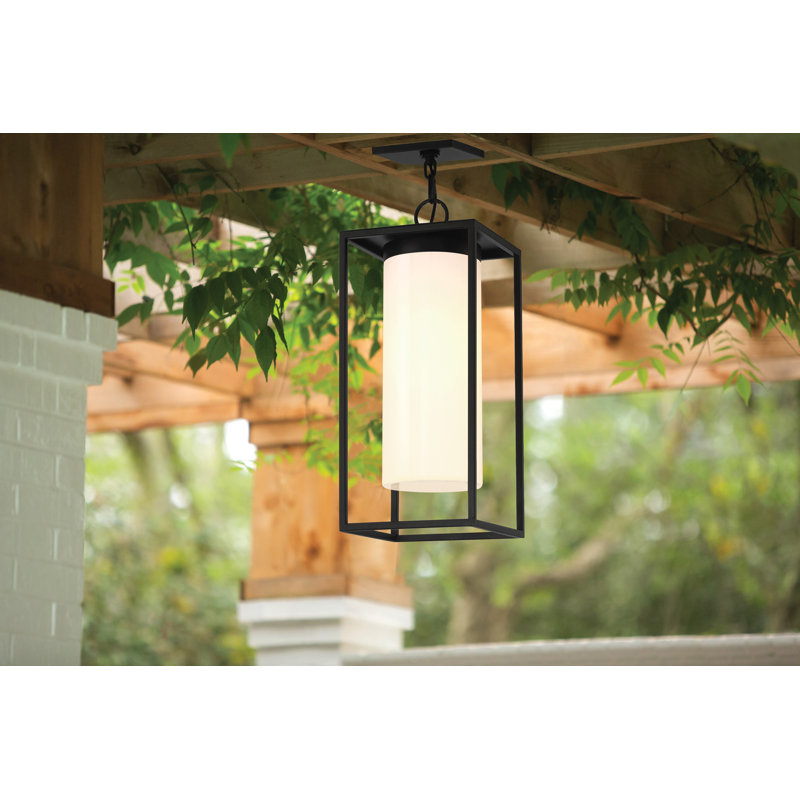 Luminaire suspendu d'extérieur 1 lumière Ren, noir