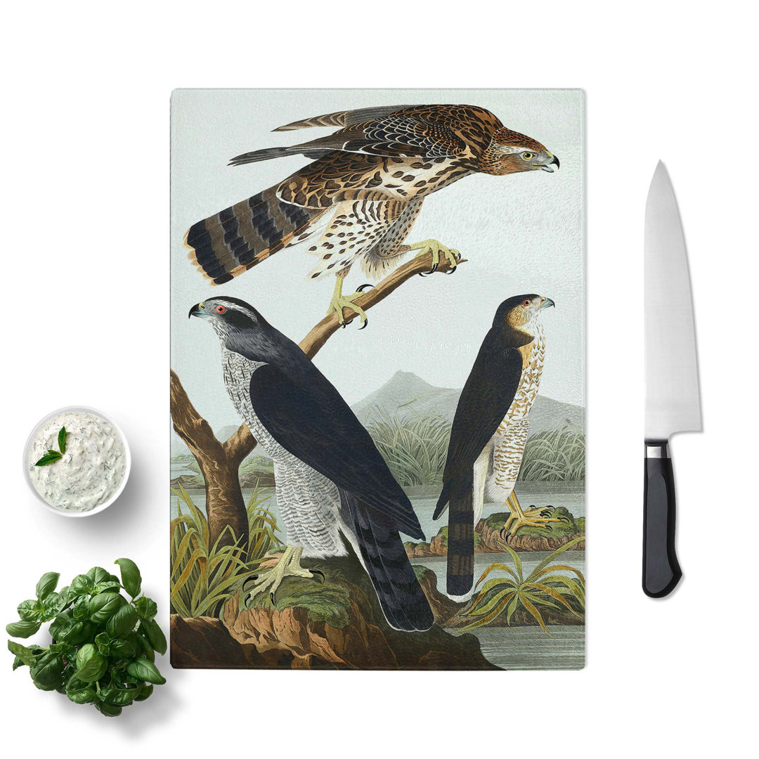 Glass Goshawks & Stanley Hawk by John James Audubon Chopping Board