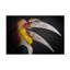 Œuvre d'art sur toile bol Fahmi Bhs L O L-109345412