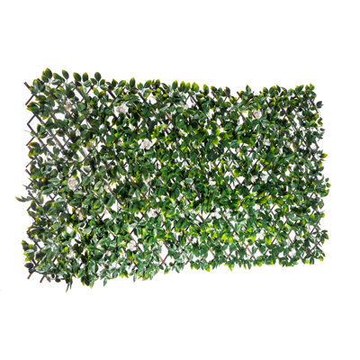 Feuille de rose avec bourgeons blancs extensibles W. Trellis 36 X 72 1pk