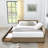Storage Upholstered Tufted Bed Frame, Sofa Bed Frame With Comfortable Backrest And Armrests, Bed For Bedroom, Living Room,Velvet-789725167-789725160