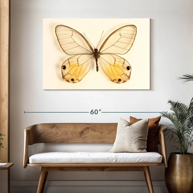 Butterfly Memento, 30" H x 45" W
