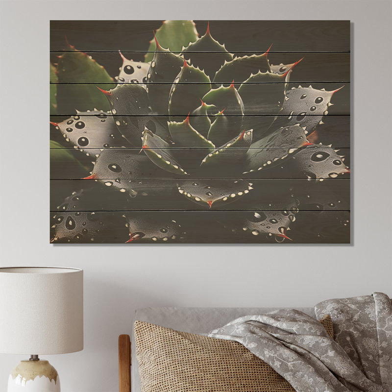 Photographie de cactus en fleurs noires - cactus floral sur bois, H 10 po x l 20 po