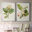 «Magnolia Flowers I», ensemble de 2 reproductions d'art sur toile encadrées-2102747808-2102747812