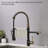 FLG Pull Down Kitchen Faucet