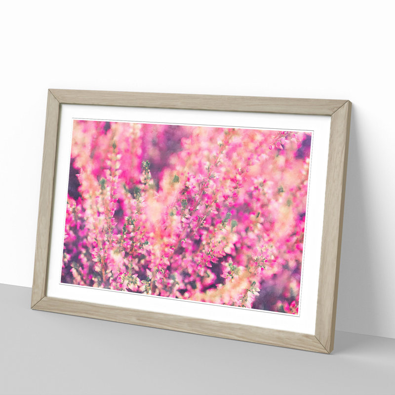 Pink Heather - Picture Frame Graphic Art, 36cm H x 48cm W x 2cm D, Oak Framed