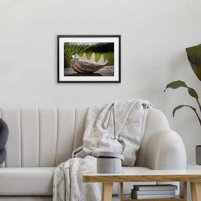 Sea Treasure Shell, reproduction encadrée sous verre, design par Seven Trees Design