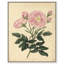 French French Canvas par -1567632876-1567632875-1563061753