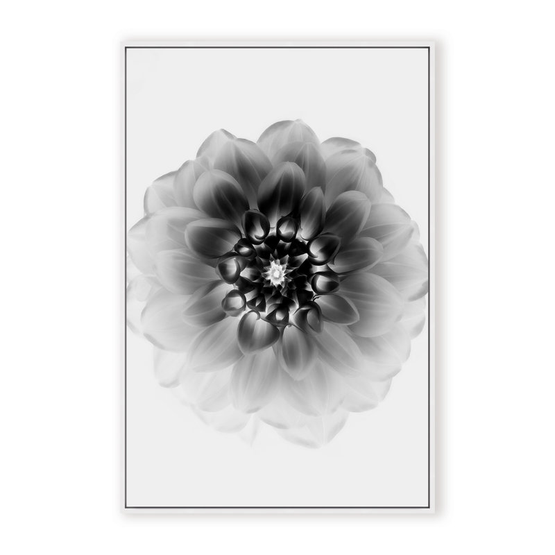X-Ray Print by Alex Zhao, 48" H x 32" W x 1.125" D, Black, Framed Matted Print