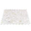Oyster 1" Fish Scale Polished Pearl Mosaic Tile