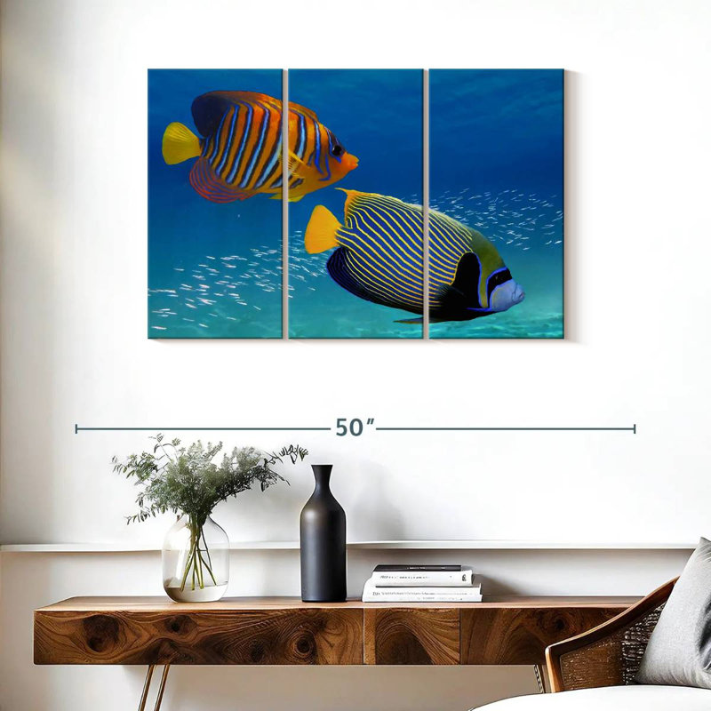 Poisson-ange exotique empereur, H 24 po x l 38 po