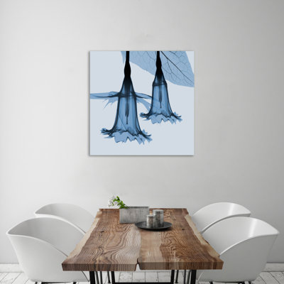 " Indigo Daffodil 1 "