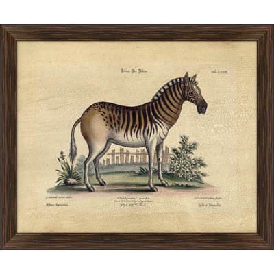 Crackled Zebra I Print