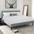 Ansonia 8" Plush Gel memory foam Mattress-101700902-124244827
