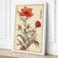 Carnation Study Botanical - Wrapped Canvas-2013688614-2013688621