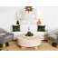 Oslo Solid Wood Coffee Table-75384652
