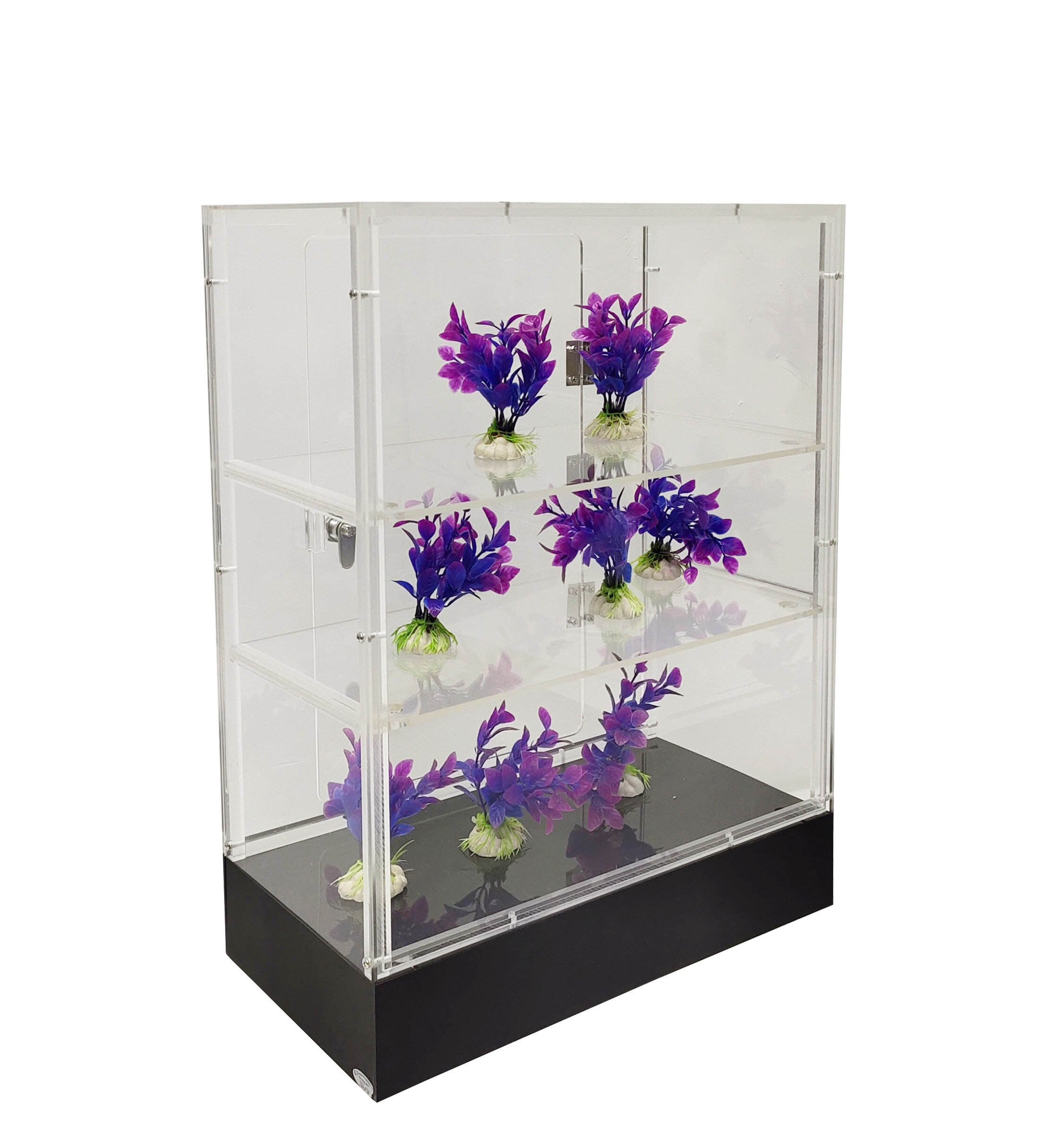 https://assets.wfcdn.com/im/74189398/compr-r85/1686/168642469/clear-cabinet-acrylic-display-removable-shelf-case-plexiglass-showcase-with-lock-and-key-transparent.jpg