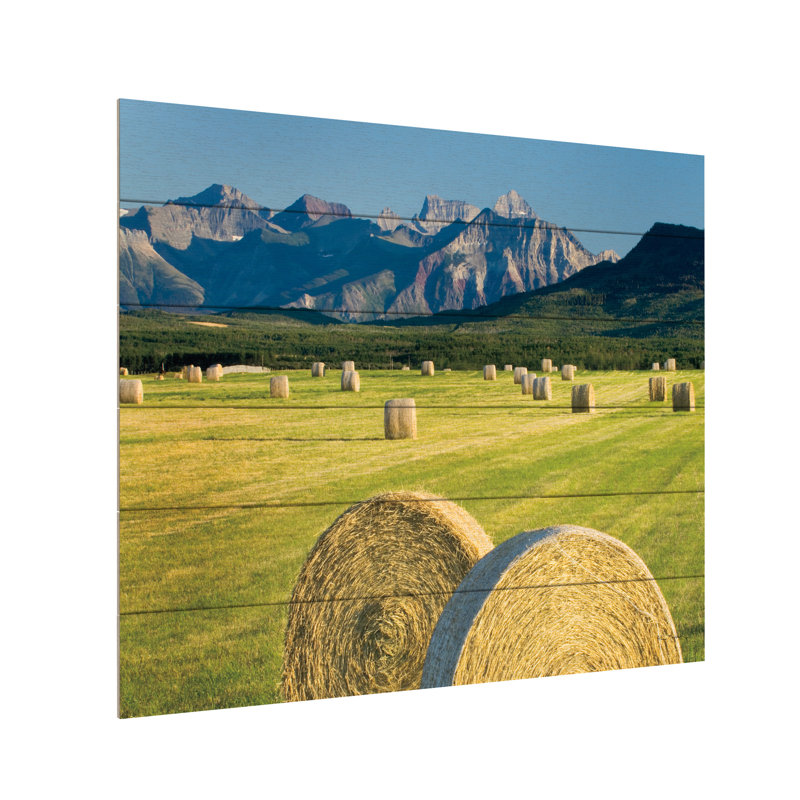 «Waterton Hay Bales» par Alan Majchrowicz, L 22 po x H 18 po