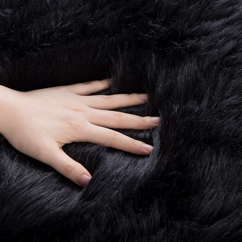 Dreu Black Shag Area Rug, Nouveauté 4 pi x 6 pi