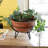 Plant Stand