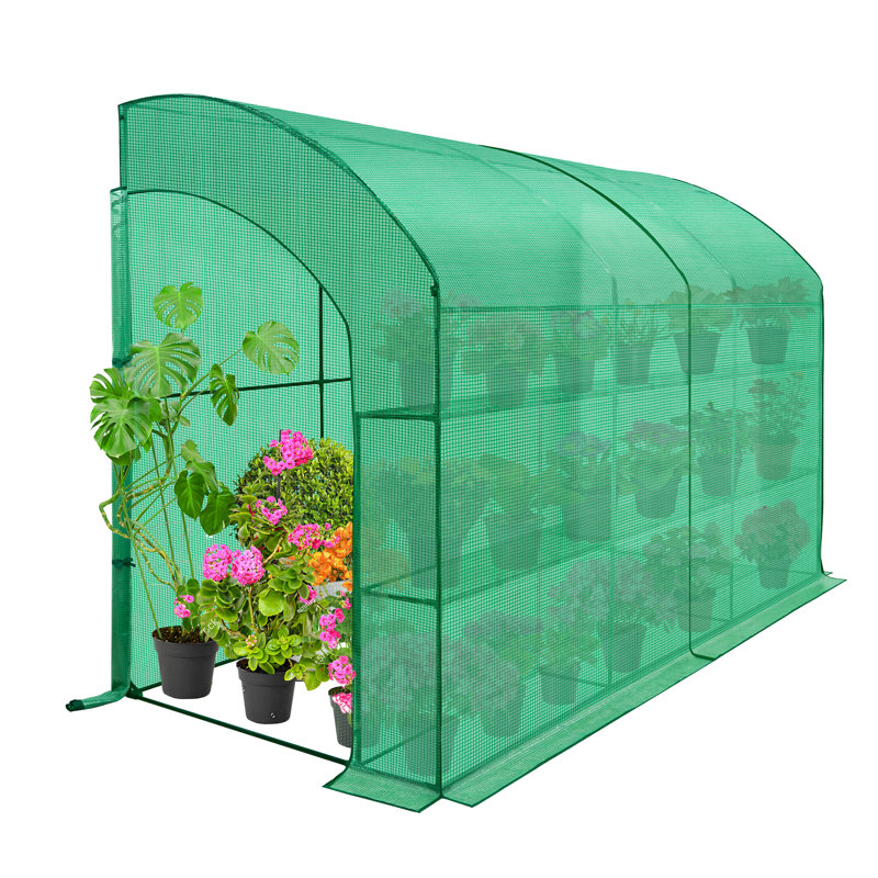 EAGLE PEAK 5' W x 10' D Lean To Greenhouse | Wayfair