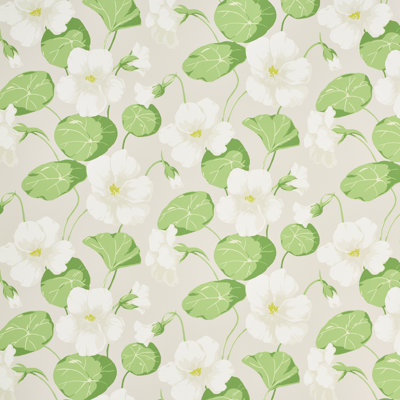 Nasturtium Wallpaper