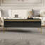 100cm Coffee Table High Gloss 2 Drawers Storage Gold Metal Legs Tea Accent End Units Living Room Lounge Furniture Base, Black-1986978305