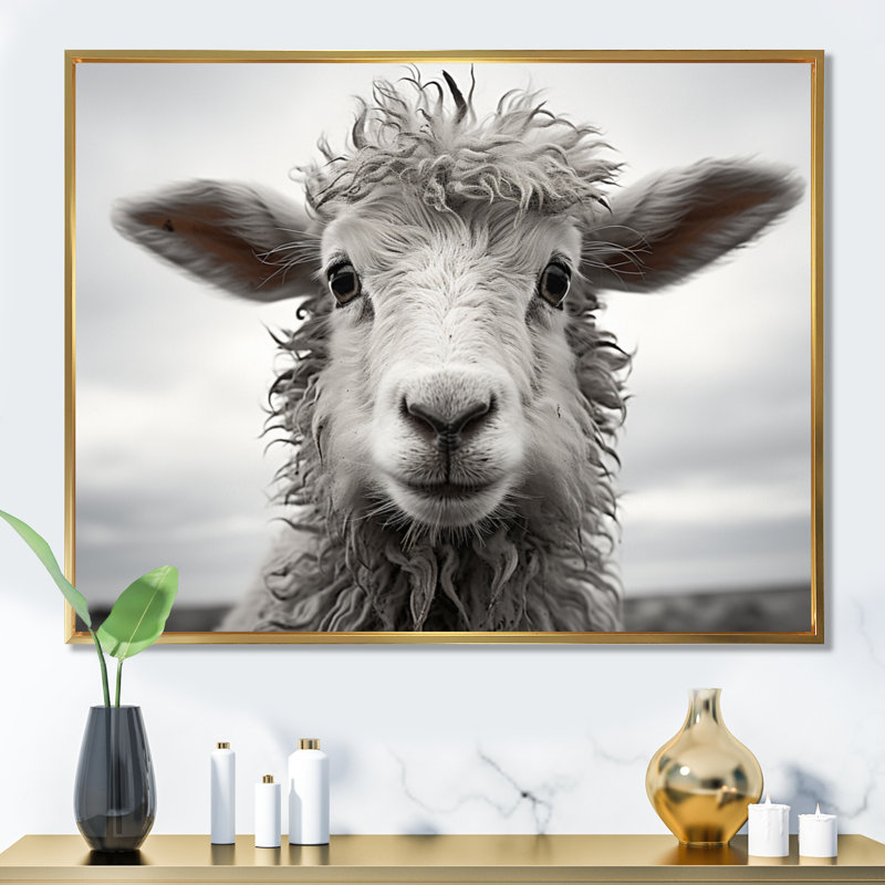 Mouton sérénité - animaux, art mural, salon, 30" H x 40" W, Cadre flottant doré