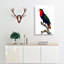 Black-Capped Lory by F. Levaillant - Wrapped Canvas-55370482