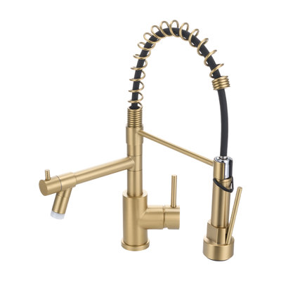 Belfry Kitchen Pull Out Kitchen Faucet
