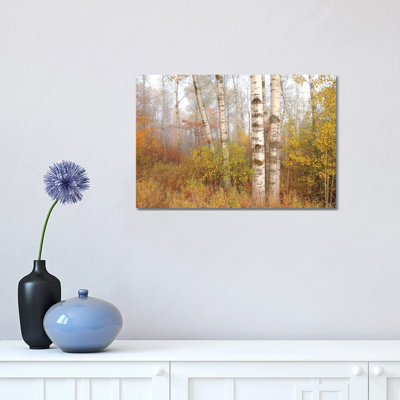 Foggy Morning Birches 1 Piece Wrapped Canvas Wall Art