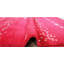 Tapis rouge à motif Sud-Ouest Latisha-23243416