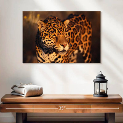 Jaguar sous le soleil