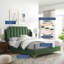 Modway Daniella-1525644552